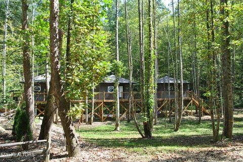 Tiny photo for 750 Caney Creek Rd, Cosby, TN 37722 (MLS # 1298596)