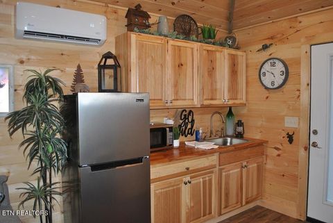 Tiny photo for 750 Caney Creek Rd, Cosby, TN 37722 (MLS # 1298596)