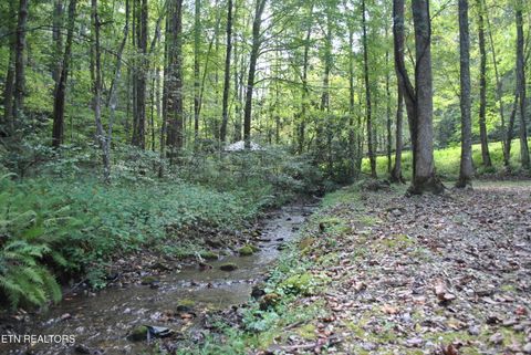 Tiny photo for 750 Caney Creek Rd, Cosby, TN 37722 (MLS # 1298596)