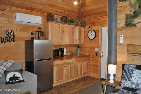 Tiny photo for 750 Caney Creek Rd, Cosby, TN 37722 (MLS # 1298596)