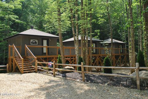 Tiny photo for 750 Caney Creek Rd, Cosby, TN 37722 (MLS # 1298596)