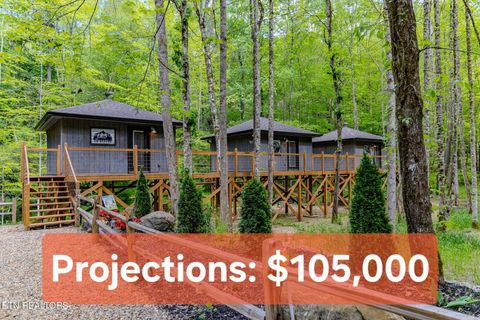 Tiny photo for 750 Caney Creek Rd, Cosby, TN 37722 (MLS # 1298596)