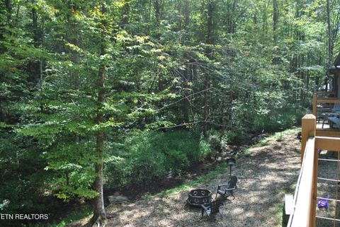 Tiny photo for 750 Caney Creek Rd, Cosby, TN 37722 (MLS # 1298596)