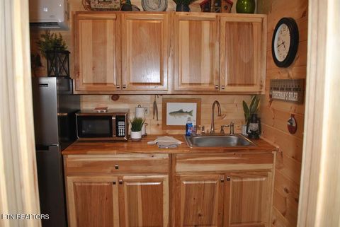 Tiny photo for 750 Caney Creek Rd, Cosby, TN 37722 (MLS # 1298596)