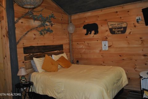 Tiny photo for 750 Caney Creek Rd, Cosby, TN 37722 (MLS # 1298596)