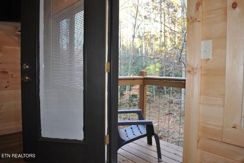 Tiny photo for 750 Caney Creek Rd, Cosby, TN 37722 (MLS # 1298596)