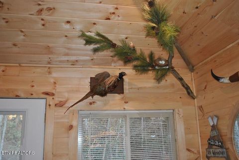 Tiny photo for 750 Caney Creek Rd, Cosby, TN 37722 (MLS # 1298596)