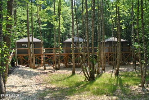 Tiny photo for 750 Caney Creek Rd, Cosby, TN 37722 (MLS # 1298596)