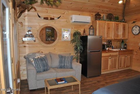 Tiny photo for 750 Caney Creek Rd, Cosby, TN 37722 (MLS # 1298596)