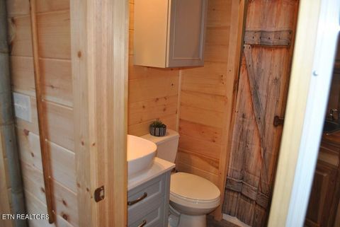 Tiny photo for 750 Caney Creek Rd, Cosby, TN 37722 (MLS # 1298596)