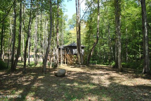 Tiny photo for 750 Caney Creek Rd, Cosby, TN 37722 (MLS # 1298596)