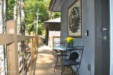Tiny photo for 750 Caney Creek Rd, Cosby, TN 37722 (MLS # 1298596)