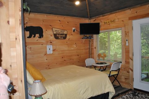 Tiny photo for 750 Caney Creek Rd, Cosby, TN 37722 (MLS # 1298596)