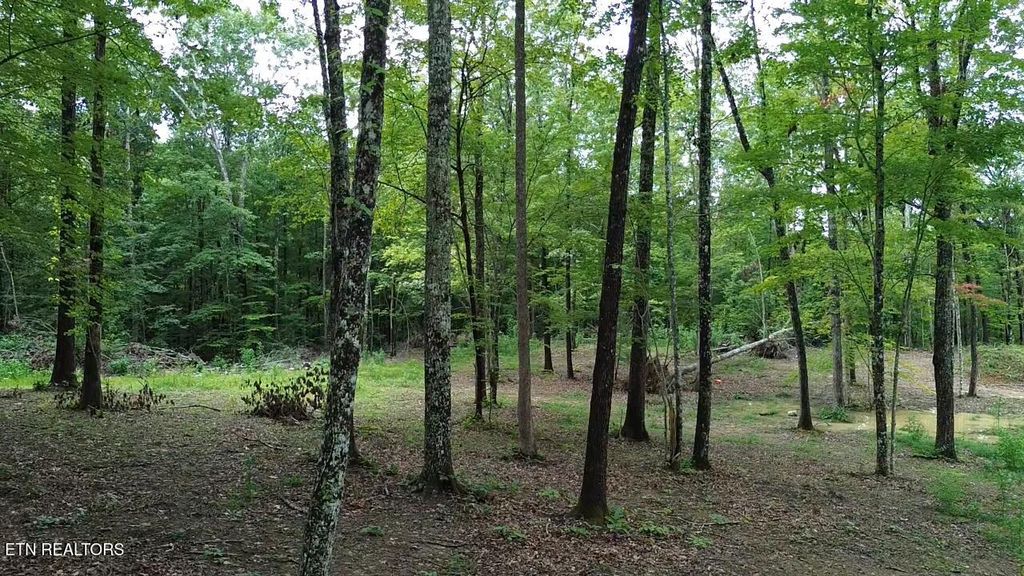 Photo of Eagle Ridge PVT Rd, Huntsville, TN 37756 (MLS # 1311519)