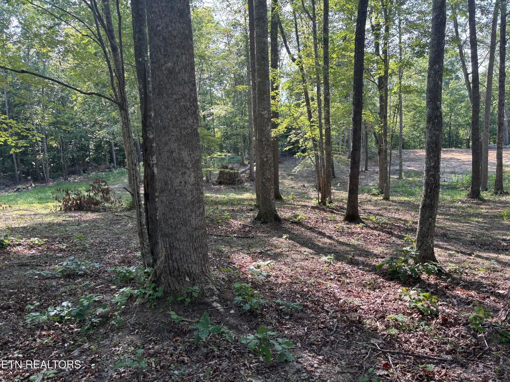 Photo of Eagle Ridge PVT Rd, Huntsville, TN 37756 (MLS # 1311519)
