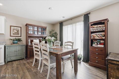 Tiny photo for 4019 Wesoga Drive, Dandridge, TN 37725 (MLS # 1335688)