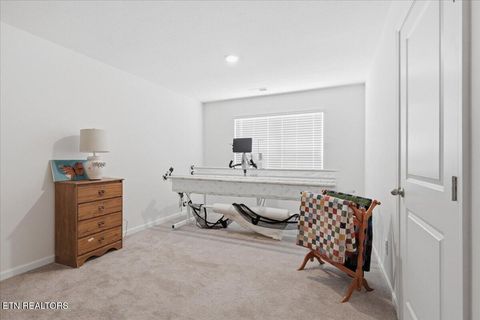 Tiny photo for 4019 Wesoga Drive, Dandridge, TN 37725 (MLS # 1335688)