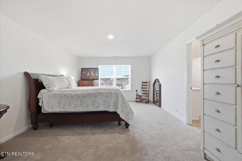 Tiny photo for 4019 Wesoga Drive, Dandridge, TN 37725 (MLS # 1335688)