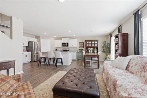 Tiny photo for 4019 Wesoga Drive, Dandridge, TN 37725 (MLS # 1335688)