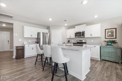 Tiny photo for 4019 Wesoga Drive, Dandridge, TN 37725 (MLS # 1335688)