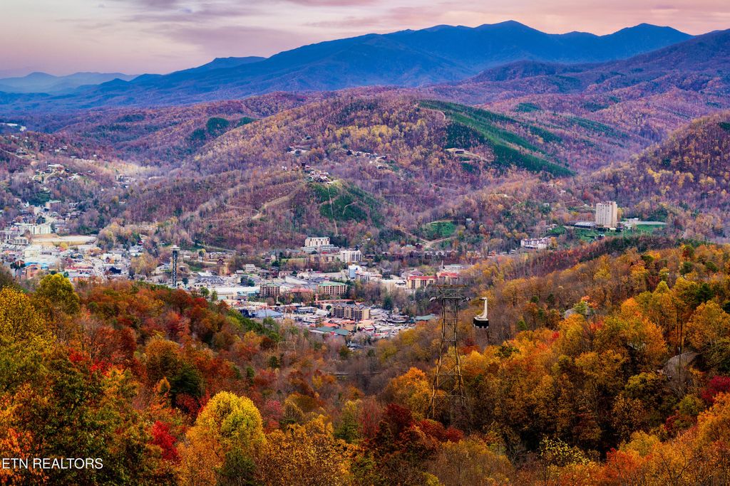 Photo of 1409 Arbon Drive, Gatlinburg, TN 37738 (MLS # 1309268)