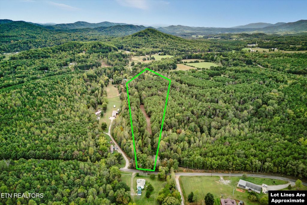 Photo of 173 Akins Rd, Tellico Plains, TN 37385 (MLS # 1326959)