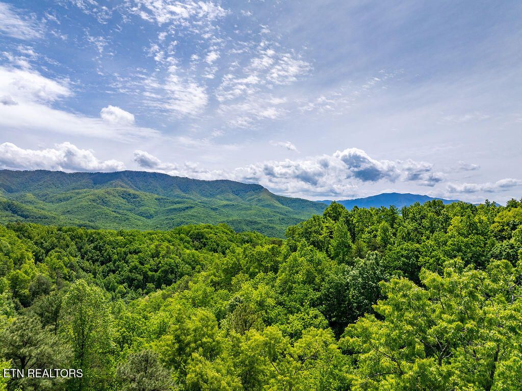 Photo of 967 Scenic Tr, Gatlinburg, TN 37738 (MLS # 1340415)