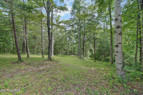 Photo of 106108 Rotherham Drive, Fairfield Glade, TN 38558 (MLS # 1350968)