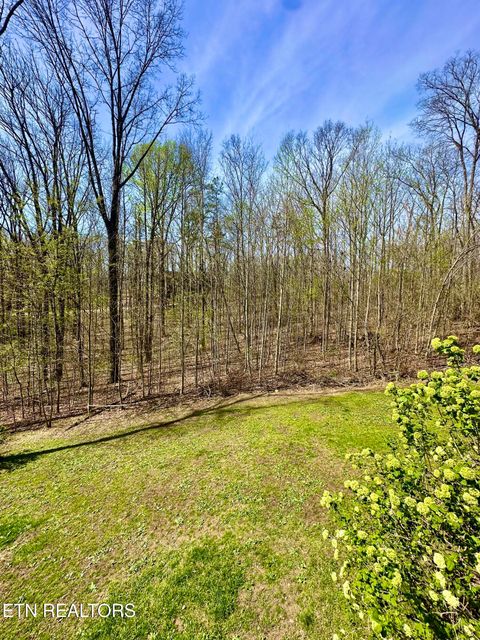 Tiny photo for 80 Upper Eagles Nest Rd Rd, Crab Orchard, TN 37723 (MLS # 1335913)