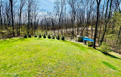 Tiny photo for 80 Upper Eagles Nest Rd Rd, Crab Orchard, TN 37723 (MLS # 1335913)