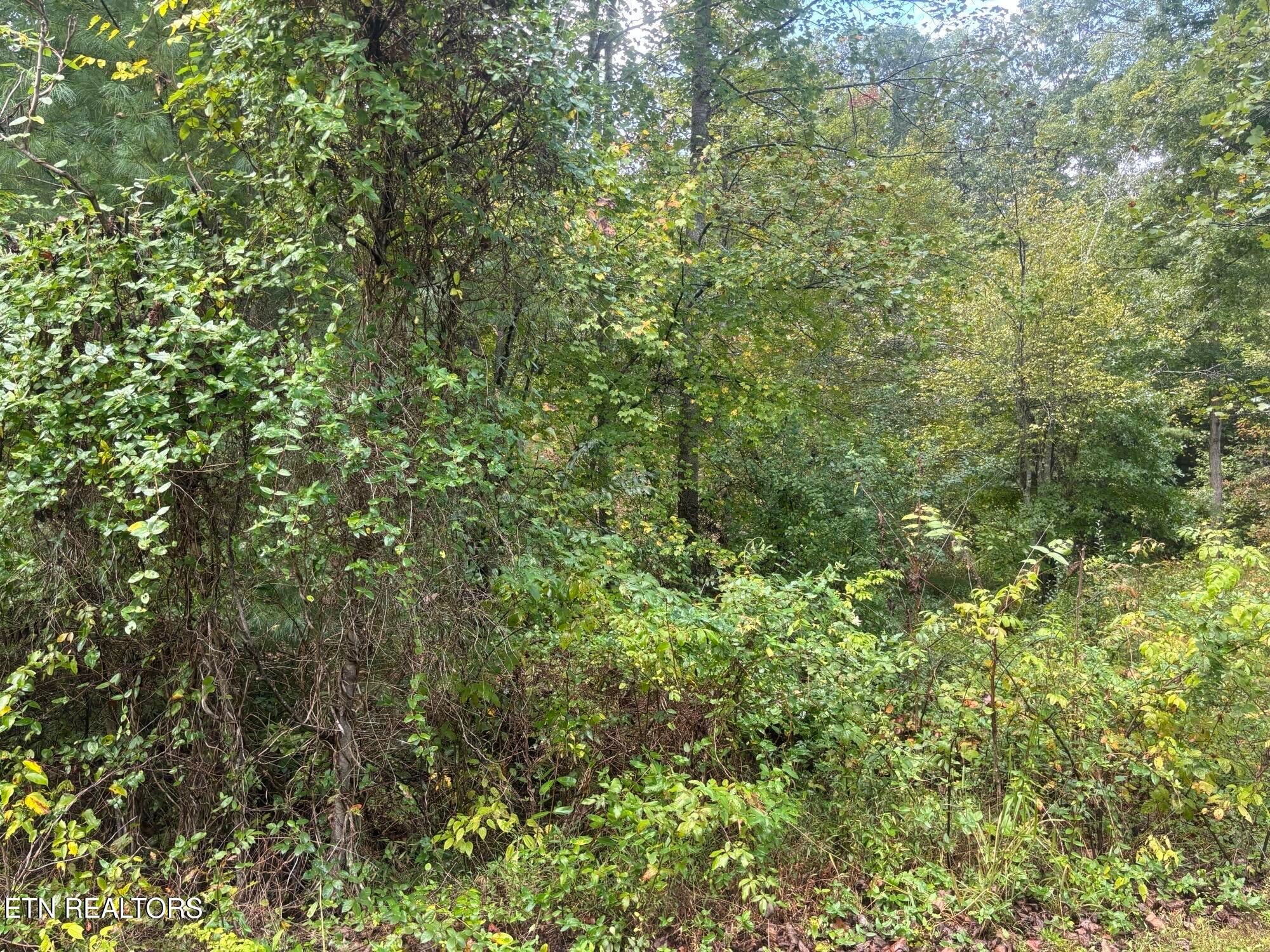 Hardin Private Drive Lot 12