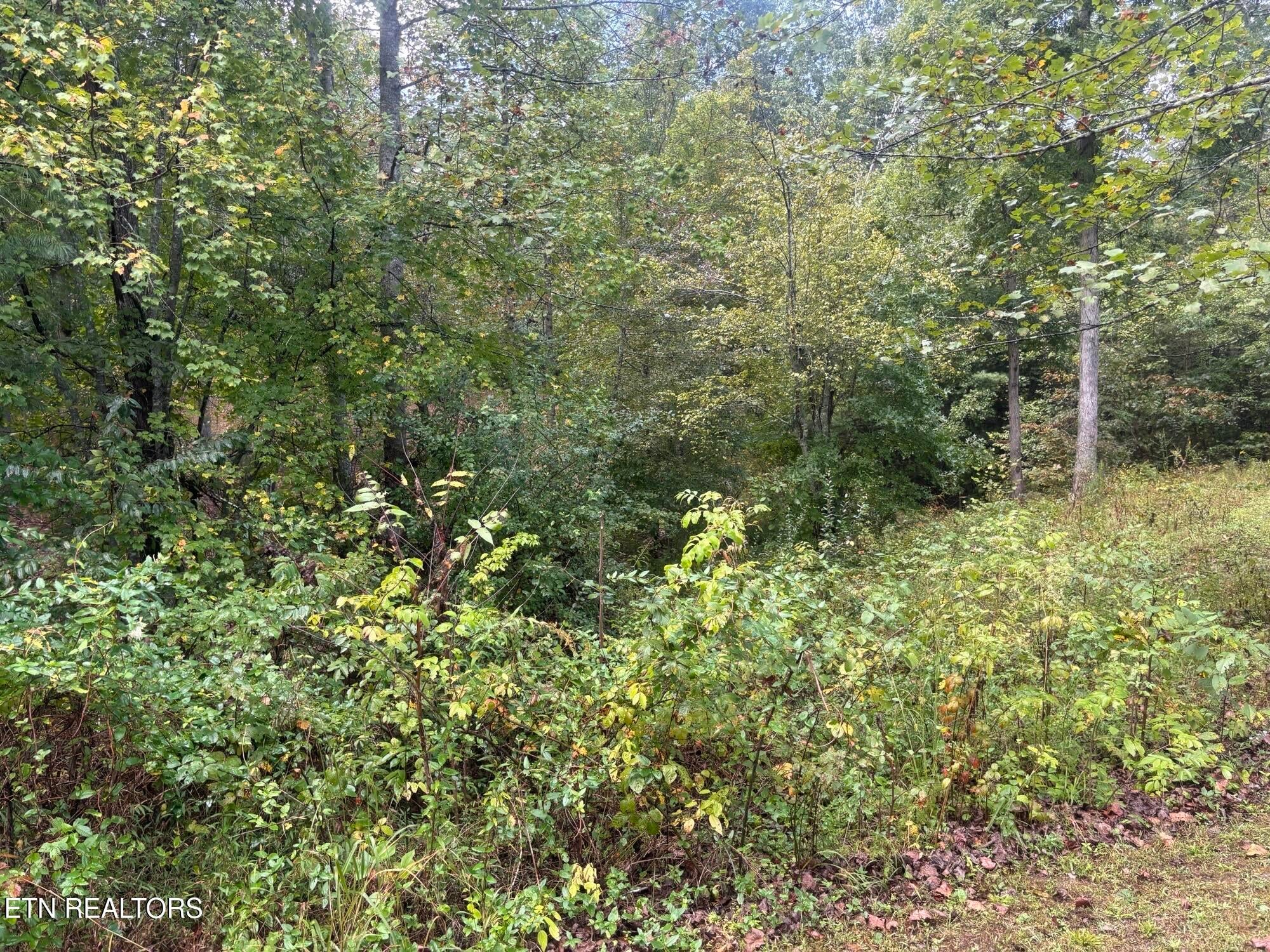 Hardin Private Drive Lot 12