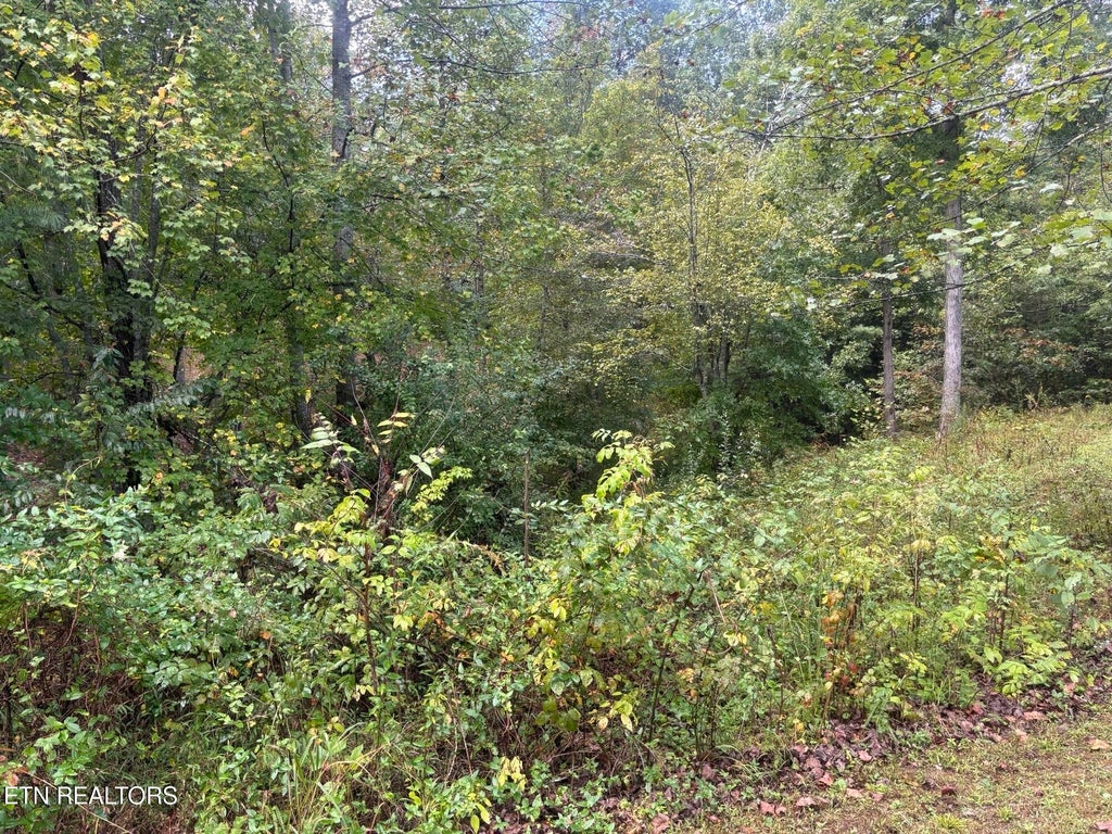 Photo of Hardin Private Drive #Lot 12, Robbins, TN 37852 (MLS # 1357658)