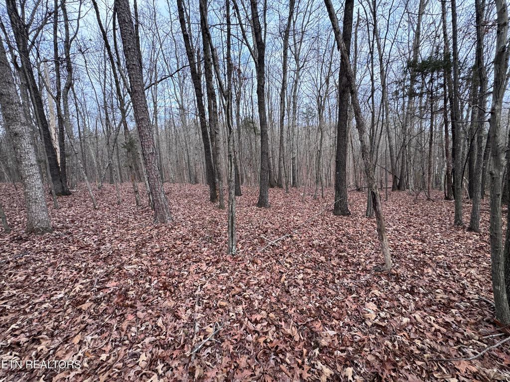 Photo of 7473 Tmb Tr, Birchwood, TN 37308 (MLS # 1327139)