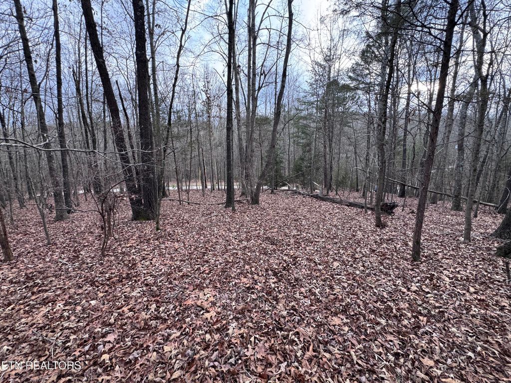 Photo of 7473 Tmb Tr, Birchwood, TN 37308 (MLS # 1327139)