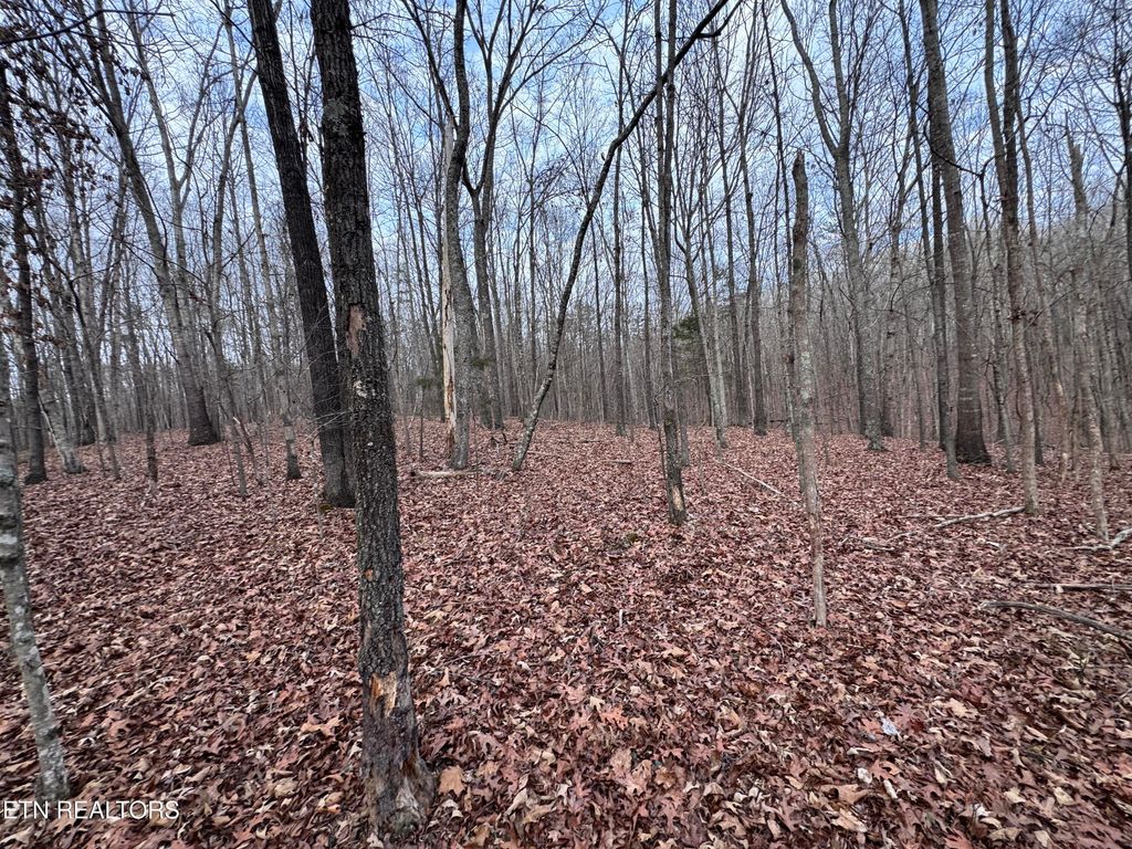 Photo of 7473 Tmb Tr, Birchwood, TN 37308 (MLS # 1327139)