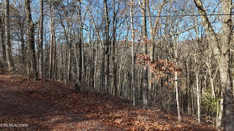 Tiny photo for 822 W Bates St, Rockwood, TN 37854 (MLS # 1326227)