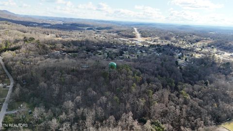 Tiny photo for 822 W Bates St, Rockwood, TN 37854 (MLS # 1326227)