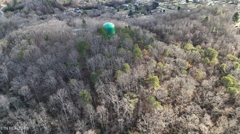 Tiny photo for 822 W Bates St, Rockwood, TN 37854 (MLS # 1326227)