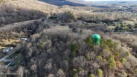 Tiny photo for 822 W Bates St, Rockwood, TN 37854 (MLS # 1326227)