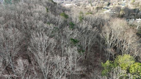 Tiny photo for 822 W Bates St, Rockwood, TN 37854 (MLS # 1326227)