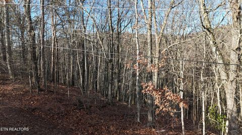 Photo of 822 W Bates St, Rockwood, TN 37854 (MLS # 1326227)