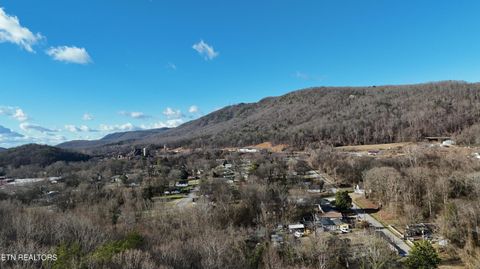 Tiny photo for 822 W Bates St, Rockwood, TN 37854 (MLS # 1326227)