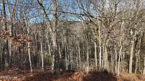 Tiny photo for 822 W Bates St, Rockwood, TN 37854 (MLS # 1326227)
