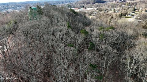 Tiny photo for 822 W Bates St, Rockwood, TN 37854 (MLS # 1326227)