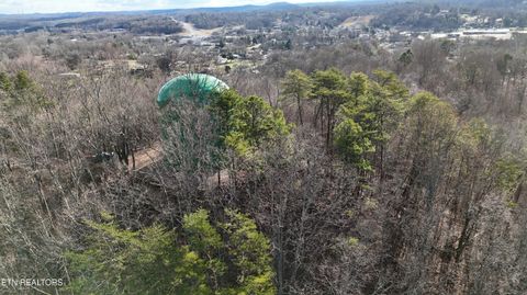 Tiny photo for 822 W Bates St, Rockwood, TN 37854 (MLS # 1326227)