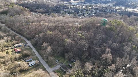 Tiny photo for 822 W Bates St, Rockwood, TN 37854 (MLS # 1326227)