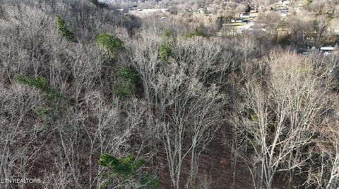 Tiny photo for 822 W Bates St, Rockwood, TN 37854 (MLS # 1326227)