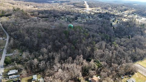 Tiny photo for 822 W Bates St, Rockwood, TN 37854 (MLS # 1326227)