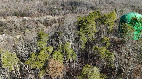 Tiny photo for 822 W Bates St, Rockwood, TN 37854 (MLS # 1326227)